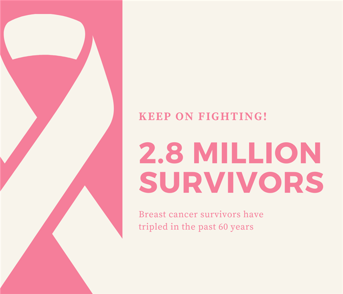 Pink Breast Cancer Awarness Ribbon